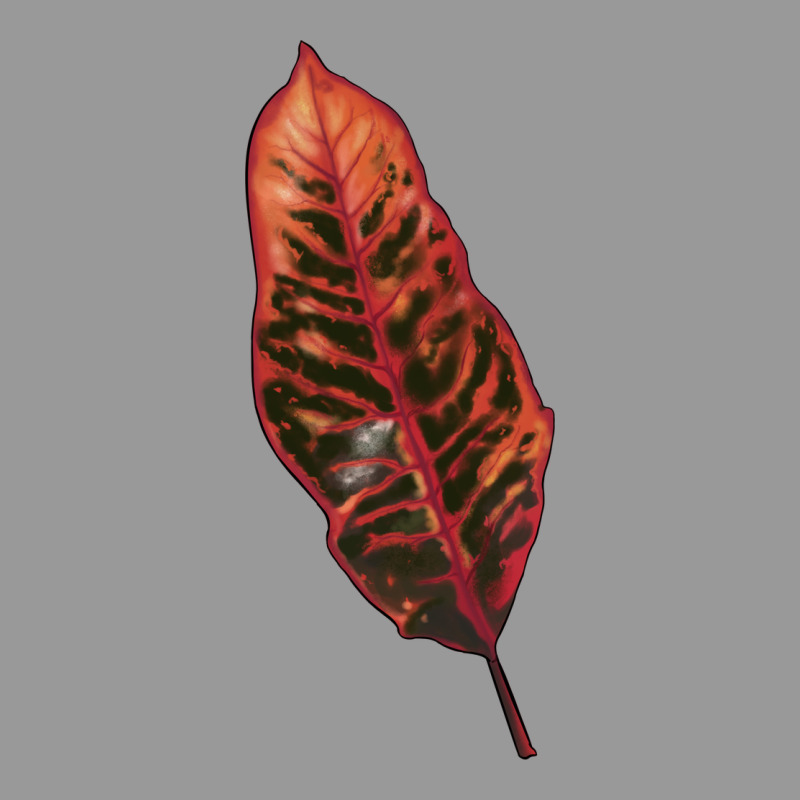 Croton Leaf Vintage Hoodie by LillyAllenDesigns | Teevron