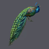 Peacock Vintage Hoodie | Teevron