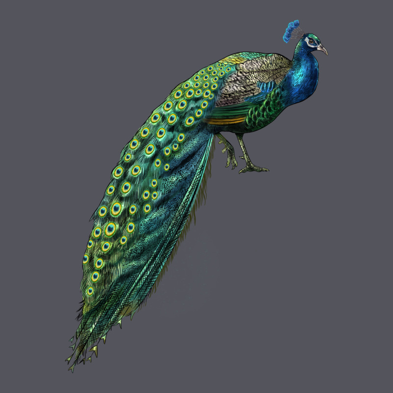 Peacock Vintage Hoodie by LillyAllenDesigns | Teevron