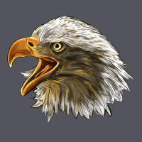 Bald Head Eagle Vintage Hoodie | Teevron