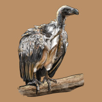 Vulture Bird Vintage Hoodie | Teevron