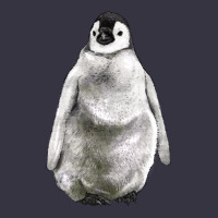 Baby Penguin Vintage Hoodie | Teevron