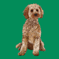 Cockapoo Urban Hoodie | Teevron