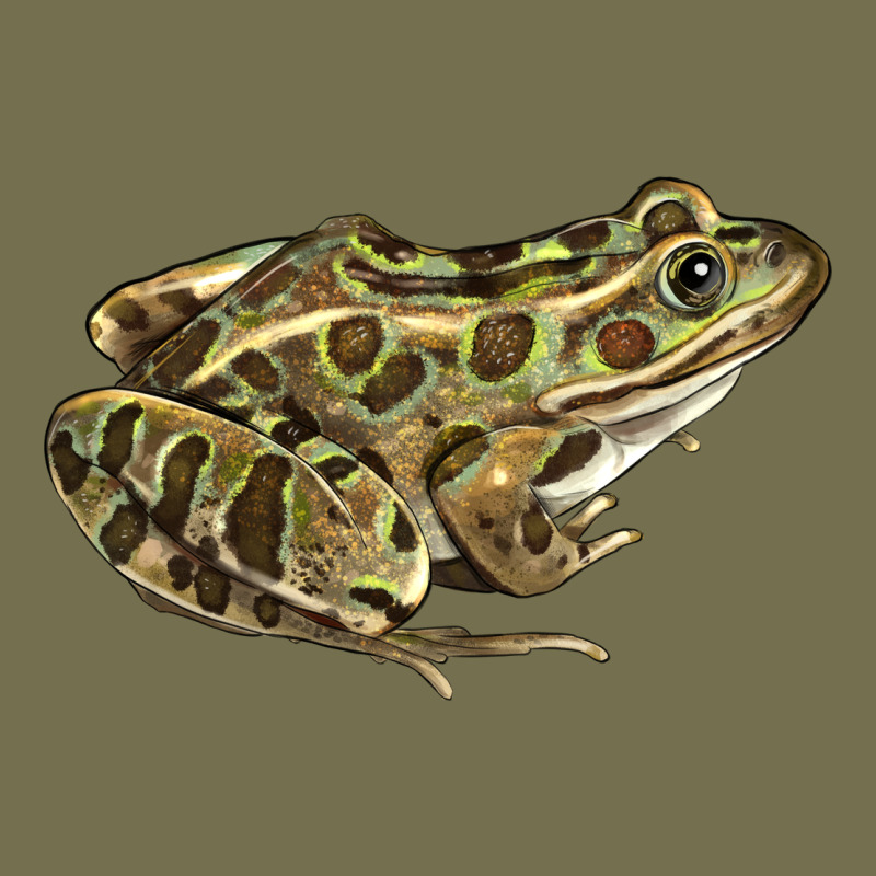Northern Leopard Frog Vintage Hoodie by LillyAllenDesigns | Teevron