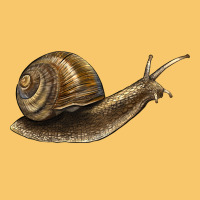 Snail Vintage Hoodie | Teevron