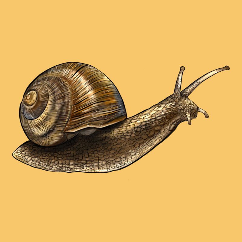 Snail Vintage Hoodie by LillyAllenDesigns | Teevron