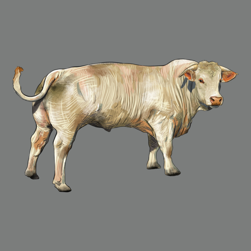 Charolais Bull Premium Hoodie by RanaPortraitStore | Teevron