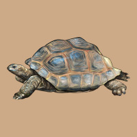 Tortoise Illustrations Vintage Hoodie | Teevron