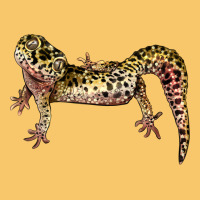 Gecko Lizard Illustrations Vintage Hoodie | Teevron