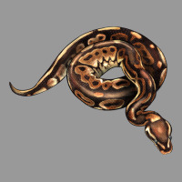 Royal Ball Python Illustrations Vintage Hoodie | Teevron