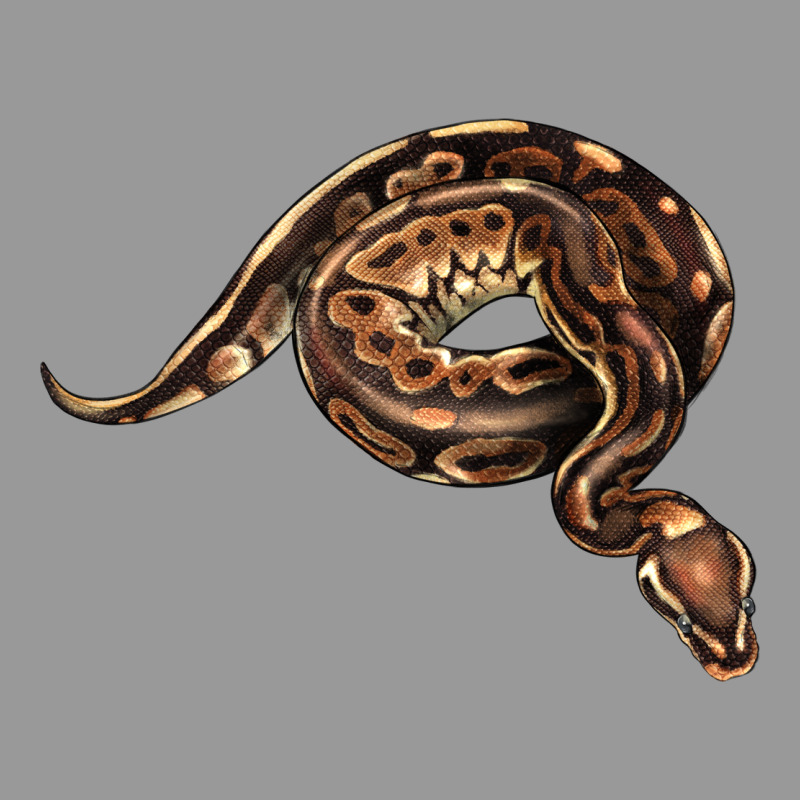 Royal Ball Python Illustrations Vintage Hoodie by LillyAllenDesigns | Teevron