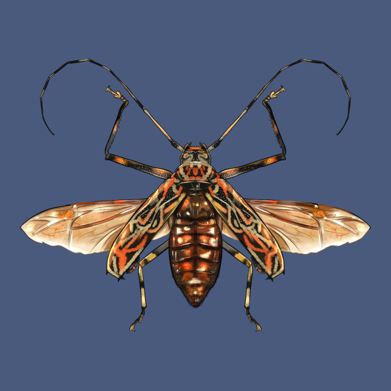 Acrocinus Beetle With Wings Vintage Hoodie by LillyAllenDesigns | Teevron