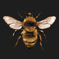 Bee Classic Tee | Teevron