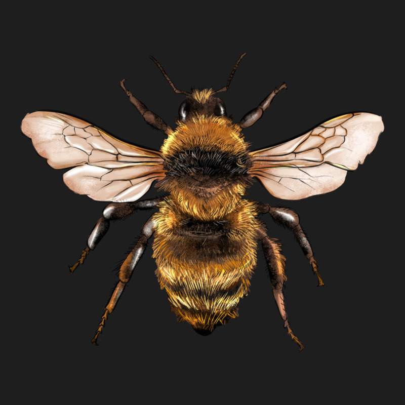 Bee Classic Tee by Artiststas | Teevron