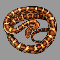Corn Snake Illustrations Vintage Hoodie | Teevron