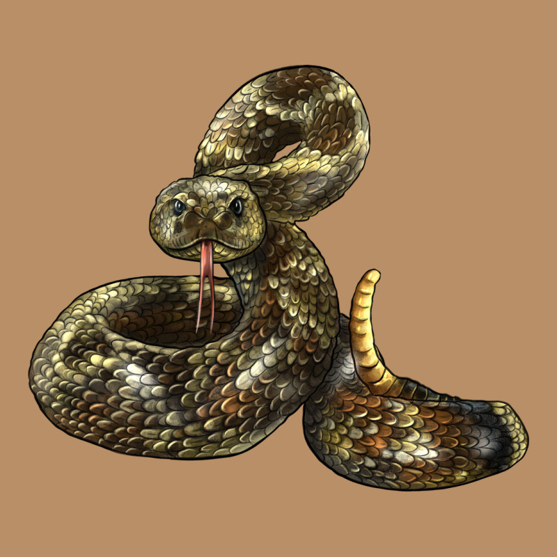 Rattlesnake Vintage Hoodie by LillyAllenDesigns | Teevron