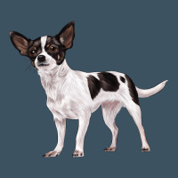 Chihuahua Urban Heavy Tee | Teevron