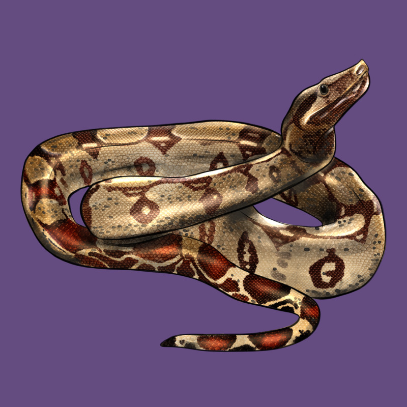 Red Tail Boa Snake Vintage Hoodie by LillyAllenDesigns | Teevron