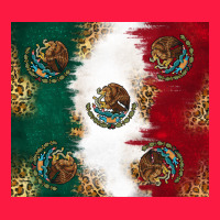 Mexican Flag Zipper Hoodie | Teevron