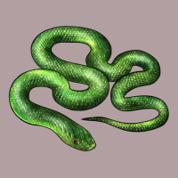 Boomslang Snake Vintage Hoodie | Teevron