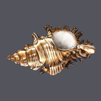 Murex Snail Vintage Hoodie | Teevron