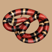 Milk Snake Vintage Hoodie | Teevron