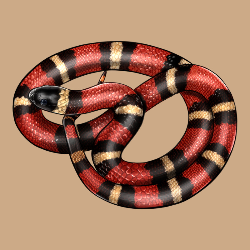 Milk Snake Vintage Hoodie by LillyAllenDesigns | Teevron
