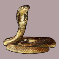 King Cobra Snake Vintage Hoodie | Teevron