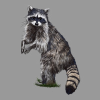 Raccoon Illustrations Vintage Hoodie | Teevron