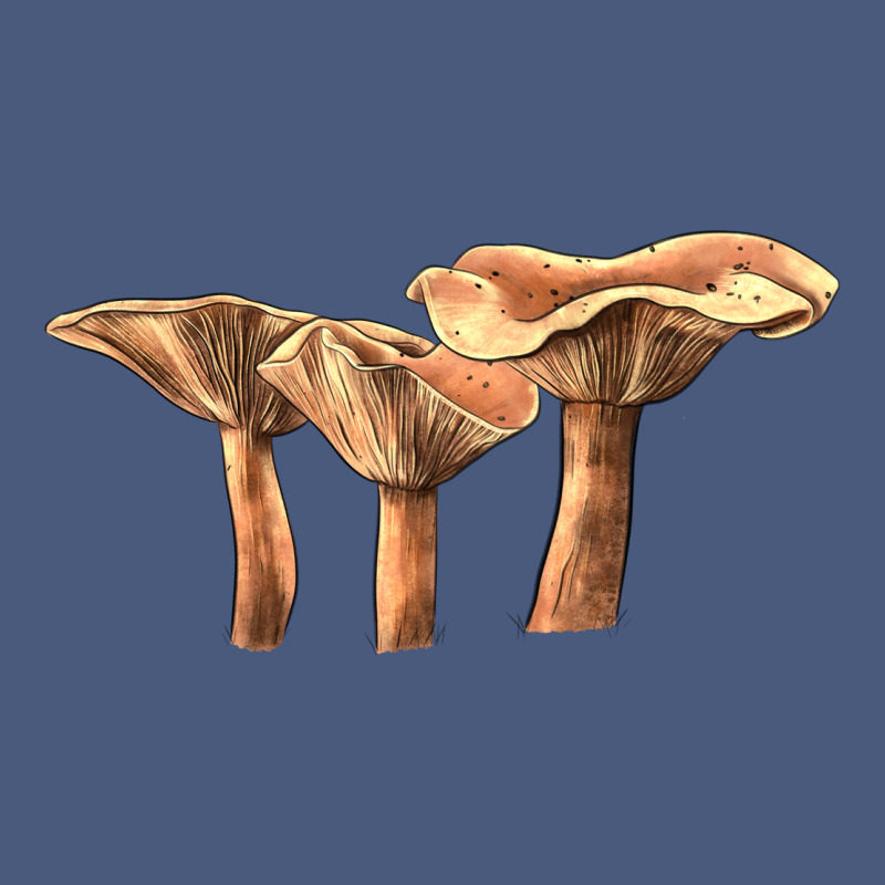 Lactarius Rufus Mushroom Vintage Hoodie by LillyAllenDesigns | Teevron