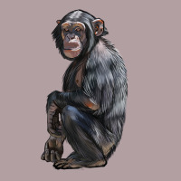 Chimpanzee Illustrations Vintage Hoodie | Teevron