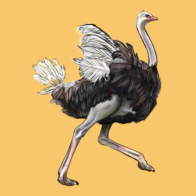 Ostrich Vintage Hoodie by LillyAllenDesigns | Teevron