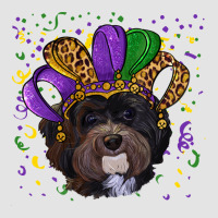 Mardi Gras Havanese Dog With Hat Premium Sweatshirt | Teevron