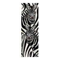 Zebra | Teevron