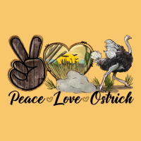 Peace Love Ostrich Vintage Hoodie | Teevron