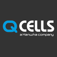 Mesmerizing Q Cells | Teevron