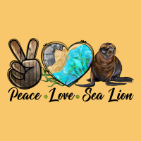 Peace Love Sea Lion Vintage Hoodie | Teevron