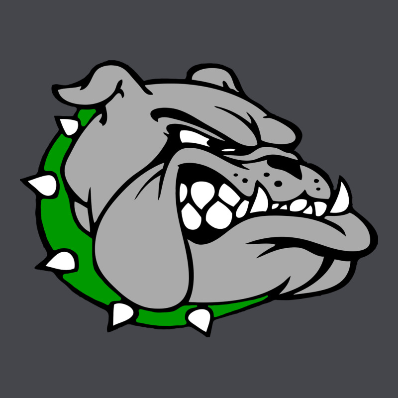 Ashville High School, Ashville Bulldogs Long Sleeve Tee by PixelFlow | Teevron