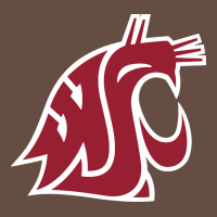 Washington State Cougars Long Sleeve Tee | Teevron