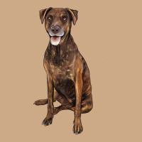 Plott Hound Vintage Hoodie | Teevron