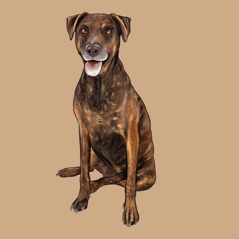 Plott Hound Vintage Hoodie by LillyAllenDesigns | Teevron