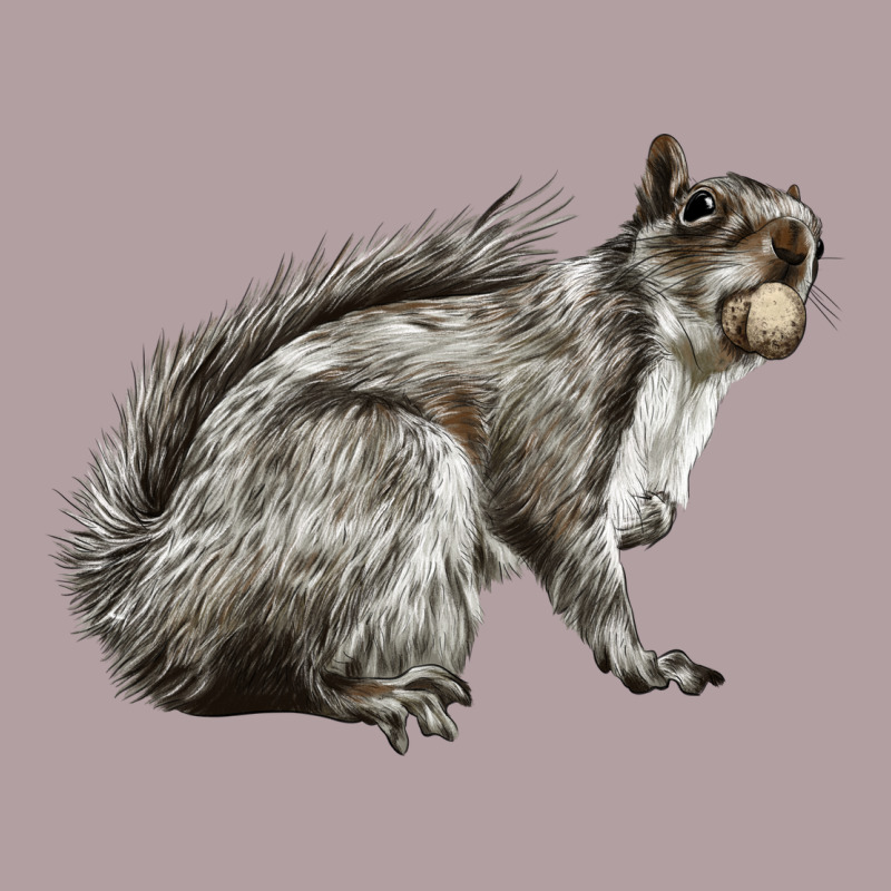 Gray Squirrel Vintage Hoodie by LillyAllenDesigns | Teevron