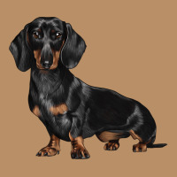 Dachshund Dog Illustrations Vintage Hoodie | Teevron