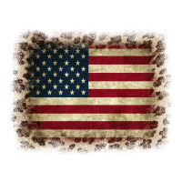 America Flag and Leopard | Teevron