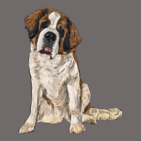 Saint Bernard Urban Hoodie | Teevron