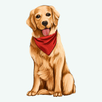 Golden Retriever Premium Hoodie | Teevron