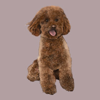 Poodles Dog Lllustrations Vintage Hoodie | Teevron