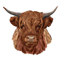 highland cow | Teevron