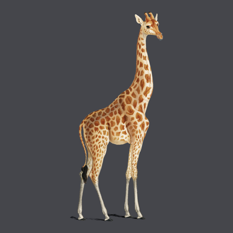 Giraffe Long Sleeve Tee by artisFamous | Teevron