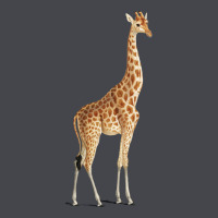 Giraffe Long Sleeve Tee | Teevron